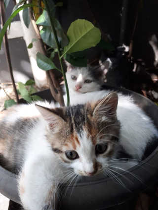 clarissa님이 올린 리뷰 사진 3