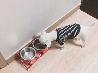 SusannaPark님이 올린 리뷰 사진 3