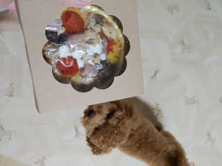 lovelyj000님이 올린 리뷰 사진 4