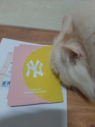 켈리심님이 올린 리뷰 사진 3