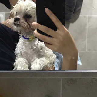 만둥둥님이 올린 리뷰 사진 2