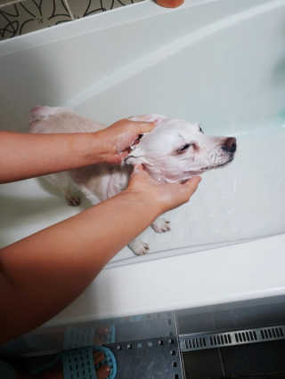 진짜님이 올린 리뷰 사진 3