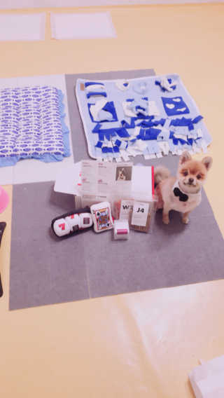 민뉴미님이 올린 리뷰 사진 2