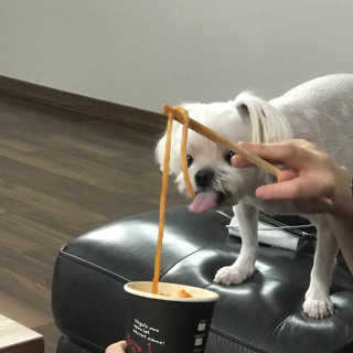 한입이절실한갱얼쥐님이 올린 리뷰 사진 1