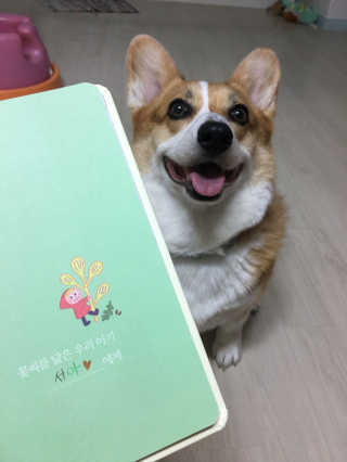 LaylaPark님이 올린 리뷰 사진 4