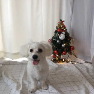 Soo님이 올린 리뷰 사진 2