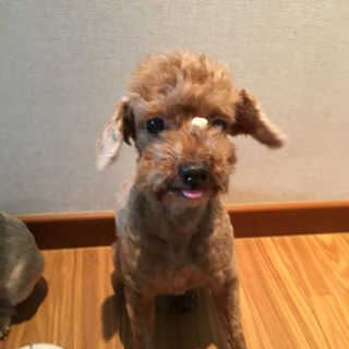 KyuBeomKwon님이 올린 리뷰 사진 2