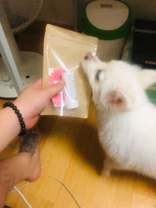 이겨울님이 올린 리뷰 사진 1