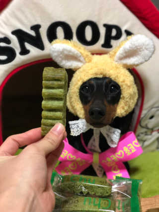 핏펫 NEW 잇츄 — 3.5점을 준 리뷰어가 2019년 12월 올린 사용 사진