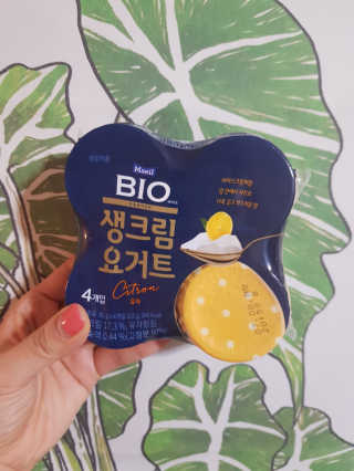 [매일 바이오] 생크림요거트 플레인 12개 + 유자 12개 — 4점을 준 리뷰어가 2019년 6월 올린 사용 사진