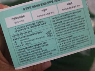 복꽁예꽁맘님이 올린 리뷰 사진 3