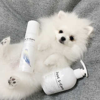 [펫토리아] 뚝딱케어 강아지 고양이 샴푸+미스트 SET — 5점을 준 리뷰어가 2020년 2월 올린 사용 사진