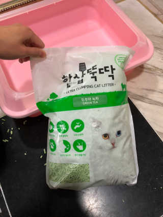 [펫토리아] BEST 고양이두부모래 6L 한삽뚝딱 — 5점을 준 리뷰어가 2019년 2월 올린 사용 사진