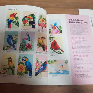 DNA디자인스튜디오 데코폴리 스티커 컬러링 북 — 4.5점을 준 리뷰어가 2019년 4월 올린 사용 사진