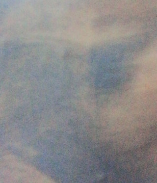호롤롤로님이 올린 리뷰 사진 2