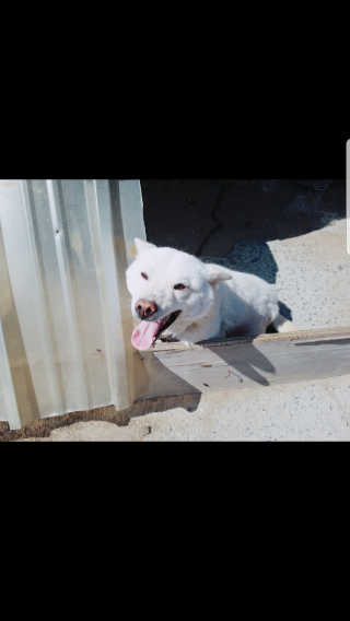 효진님이 올린 리뷰 사진 2