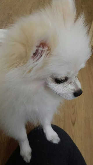 공지수님이 올린 리뷰 사진 3