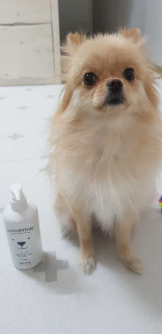 강아지스토리 펫샴푸 300ml — 5점을 준 리뷰어가 2019년 3월 올린 사용 사진