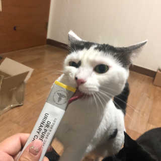 융쓰쓰님이 올린 리뷰 사진 2