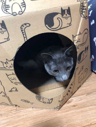 라블리맘님이 올린 리뷰 사진 3