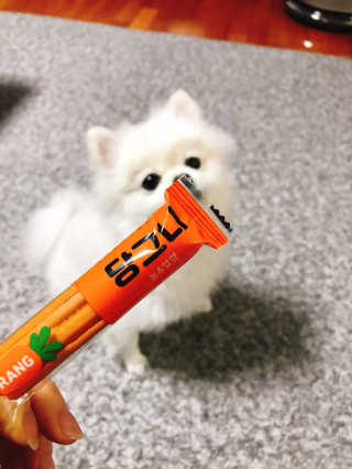 라움님이 올린 리뷰 사진 1