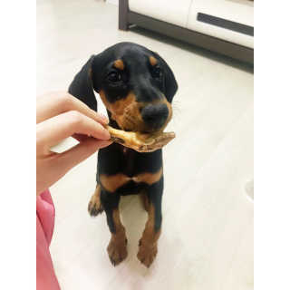 강민지님이 올린 리뷰 사진 4