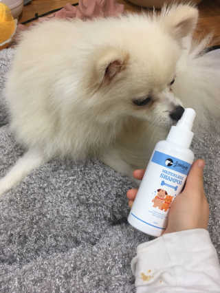 김가람님이 올린 리뷰 사진 1