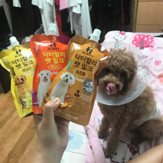 닥터할리펫밀크 5개 — 5점을 준 리뷰어가 2018년 5월 올린 사용 사진
