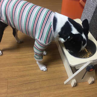 JisooOH님이 올린 리뷰 사진 3