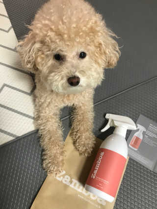 모모맘님이 올린 리뷰 사진 3