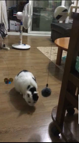 퀸민님이 올린 리뷰 사진 1