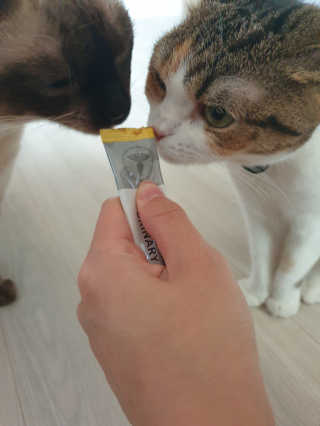 쏭뇽님이 올린 리뷰 사진 4