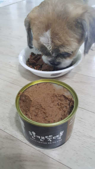 [펫토리아] 한캔뚝딱 강아지 주식캔 12종 콤보 — 5점을 준 리뷰어가 2019년 8월 올린 사용 사진