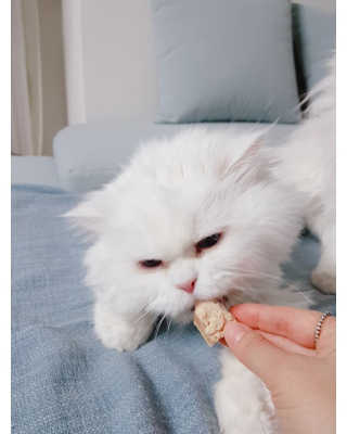 으하하하하님이 올린 리뷰 사진 3