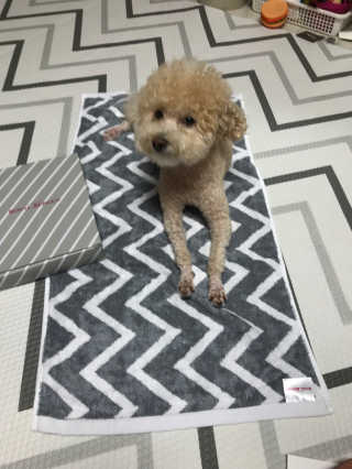 모모맘님이 올린 리뷰 사진 2