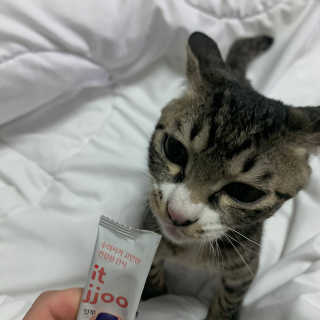 유자몬님이 올린 리뷰 사진 4