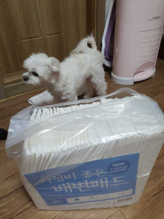 뽀오오옹님이 올린 리뷰 사진 2