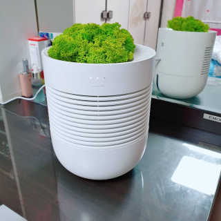 디바님이 올린 리뷰 사진 2
