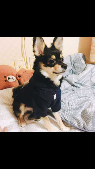 하나나님이 올린 리뷰 사진 2
