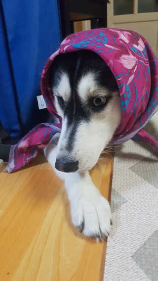 Soo님이 올린 리뷰 사진 3