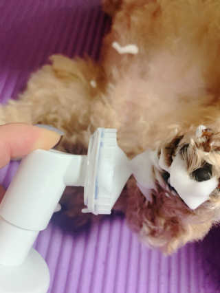 랑이님이 올린 리뷰 사진 2