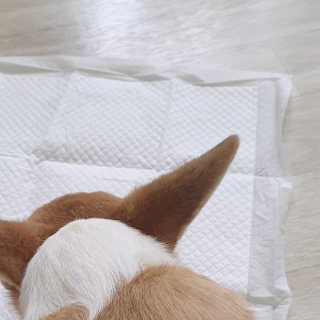 ㅈㅎ님이 올린 리뷰 사진 2
