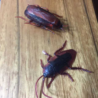 이상희님이 올린 리뷰 사진 2