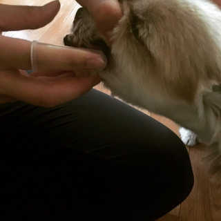 하블리님이 올린 리뷰 사진 3