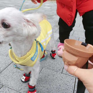 미민님이 올린 리뷰 사진 3