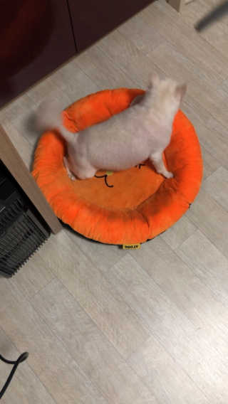 첵님이 올린 리뷰 사진 2