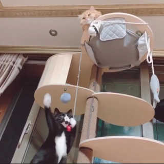 나르미르님이 올린 리뷰 사진 1