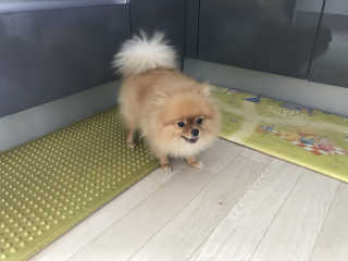 란아님이 올린 리뷰 사진 1
