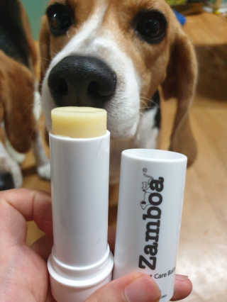 beaglelove님이 올린 리뷰 사진 1