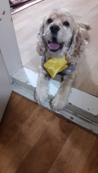 김루비님이 올린 리뷰 사진 2
